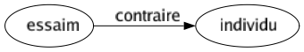 Contraire de Essaim : Individu 