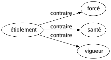 Contraire de Étiolement : Forcé Santé Vigueur 