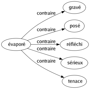 Contraire de Évaporé : Gravé Posé Réfléchi Sérieux Tenace 