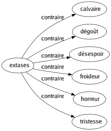 Contraire de Extases : Calvaire Dégoût Désespoir Froideur Horreur Tristesse 