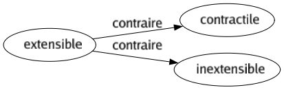 Contraire de Extensible : Contractile Inextensible 