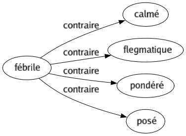 Contraire de Fébrile : Calmé Flegmatique Pondéré Posé 