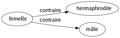 Contraire de Femelle : Hermaphrodite Mâle 