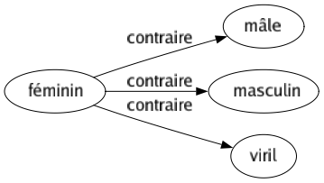 Contraire de Féminin : Mâle Masculin Viril 