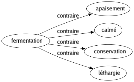 Contraire de Fermentation : Apaisement Calmé Conservation Léthargie 