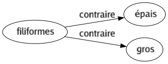 Contraire de Filiformes : Épais Gros 