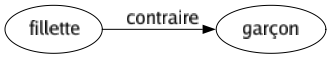 Contraire de Fillette : Garçon 