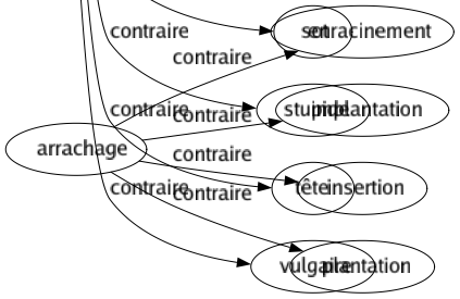 Contraire de Fins : Animal Approché Avènement Balourd Barbare Béotien Bêta Bête Bonasse Bouché Bouffon Brut Butor Camard Camus Commencement Condition Continuation Début Départ Éclosion Empâté Entrée Épais Exorde Fruste Germé Gros Grossier Inepte Inférieur Jobard Lourd Lourdaud Massif Milieu Moyen Naissance Niais Nicodème Nigaud Origine Ouverture Premier Principe Seuil Simple Simplet Sot Stupide Tête Vulgaire 