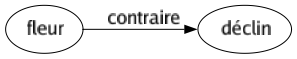 Contraire de Fleur : Déclin 