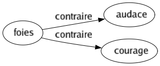 Contraire de Foies : Audace Courage 