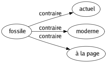 Contraire de Fossile : Actuel Moderne À la page 