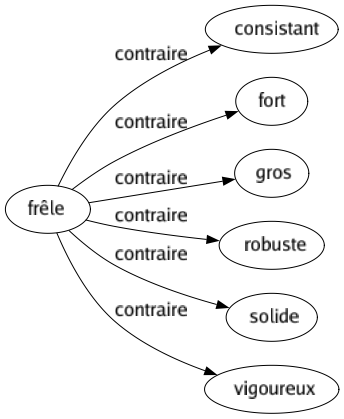Contraire de Frêle : Consistant Fort Gros Robuste Solide Vigoureux 