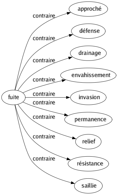 Contraire de Fuite : Approché Défense Drainage Envahissement Invasion Permanence Relief Résistance Saillie 