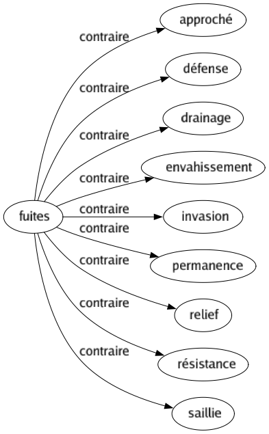 Contraire de Fuites : Approché Défense Drainage Envahissement Invasion Permanence Relief Résistance Saillie 