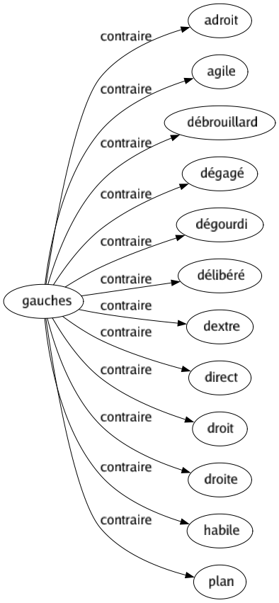 Contraire de Gauches : Adroit Agile Débrouillard Dégagé Dégourdi Délibéré Dextre Direct Droit Droite Habile Plan 