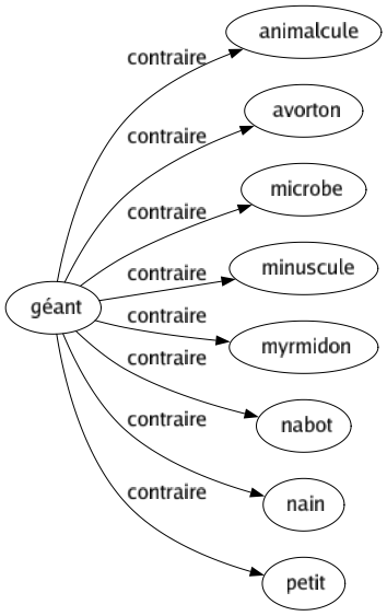 Contraire de Géant : Animalcule Avorton Microbe Minuscule Myrmidon Nabot Nain Petit 
