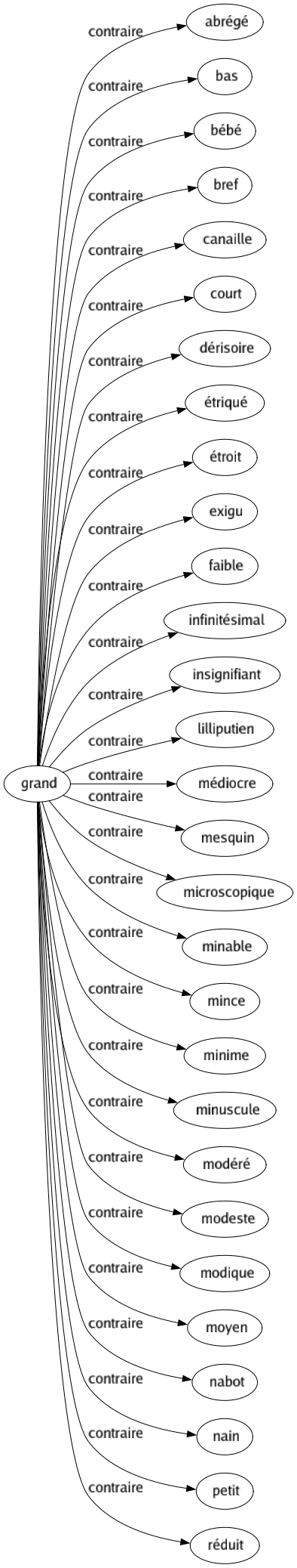 Contraire de Grand : Abrégé Bas Bébé Bref Canaille Court Dérisoire Étriqué Étroit Exigu Faible Infinitésimal Insignifiant Lilliputien Médiocre Mesquin Microscopique Minable Mince Minime Minuscule Modéré Modeste Modique Moyen Nabot Nain Petit Réduit 