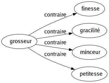 Contraire de Grosseur : Finesse Gracilité Minceur Petitesse 
