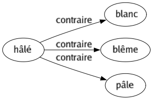 Contraire de Hâlé : Blanc Blême Pâle 