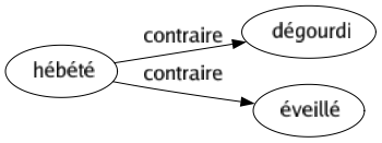 Contraire de Hébété : Dégourdi Éveillé 