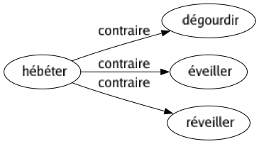 Contraire de Hébéter : Dégourdir Éveiller Réveiller 