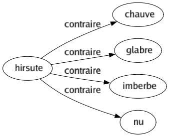 Contraire de Hirsute : Chauve Glabre Imberbe Nu 