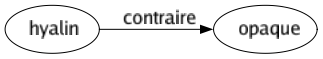 Contraire de Hyalin : Opaque 