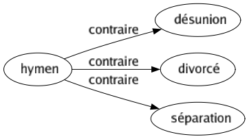 Contraire de Hymen : Désunion Divorcé Séparation 