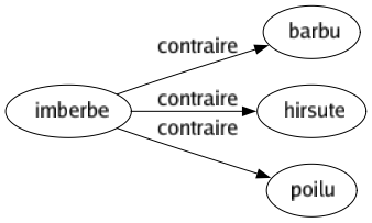 Contraire de Imberbe : Barbu Hirsute Poilu 
