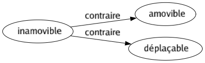 Contraire de Inamovible : Amovible Déplaçable 