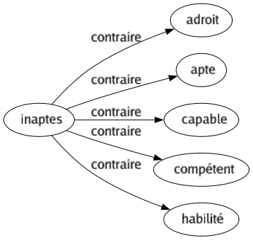 Contraire de Inaptes : Adroit Apte Capable Compétent Habilité 