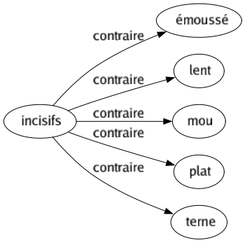 Contraire de Incisifs : Émoussé Lent Mou Plat Terne 