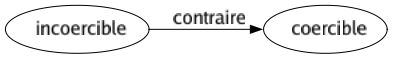 Contraire de Incoercible : Coercible 