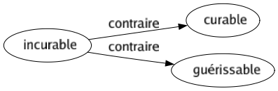 Contraire de Incurable : Curable Guérissable 