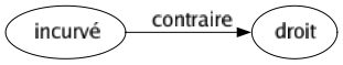 Contraire de Incurvé : Droit 