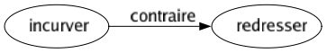 Contraire de Incurver : Redresser 