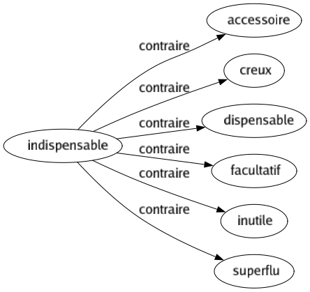 Contraire de Indispensable : Accessoire Creux Dispensable Facultatif Inutile Superflu 