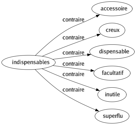 Contraire de Indispensables : Accessoire Creux Dispensable Facultatif Inutile Superflu 