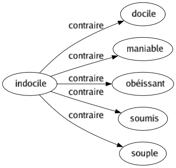 Contraire de Indocile : Docile Maniable Obéissant Soumis Souple 
