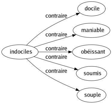 Contraire de Indociles : Docile Maniable Obéissant Soumis Souple 