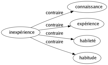 Contraire de Inexpérience : Connaissance Expérience Habileté Habitude 