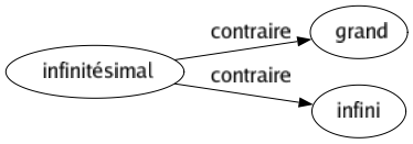 Contraire de Infinitésimal : Grand Infini 