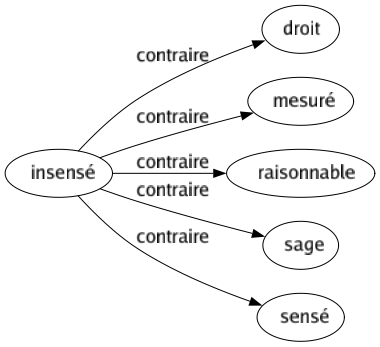 Contraire de Insensé : Droit Mesuré Raisonnable Sage Sensé 