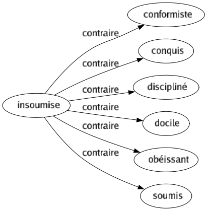 Contraire de Insoumise : Conformiste Conquis Discipliné Docile Obéissant Soumis 