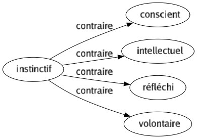 Contraire de Instinctif : Conscient Intellectuel Réfléchi Volontaire 
