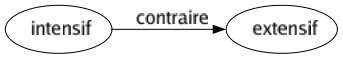 Contraire de Intensif : Extensif 