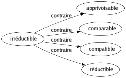 Contraire de Irréductible : Apprivoisable Comparable Compatible Réductible 