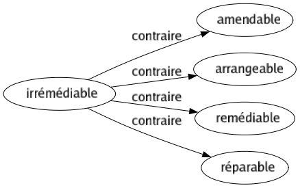 Contraire de Irrémédiable : Amendable Arrangeable Remédiable Réparable 