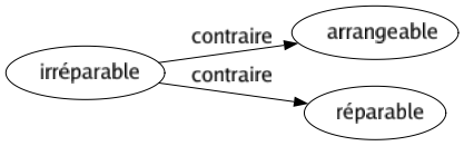 Contraire de Irréparable : Arrangeable Réparable 