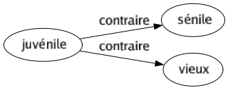 Contraire de Juvénile : Sénile Vieux 